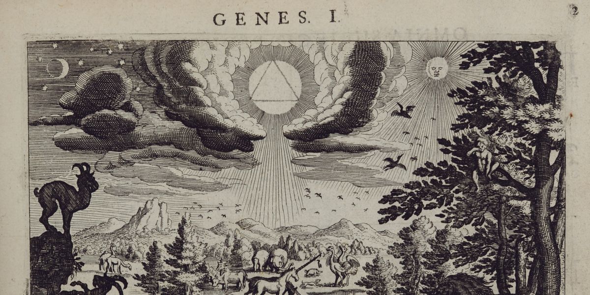 A New Year, a New Hope: The Creation of Life in Genesis