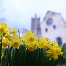 Holy Week Services (page)