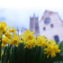 Holy Week 2021 (page)