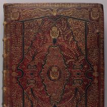 Item 17: Fine binding: judging a book by its cover (page)